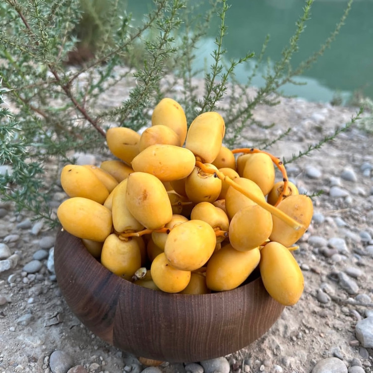 خارک شیرین و درجه یک جنوبی ارسال باچاپار