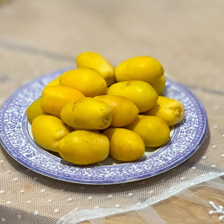 پک خارک تازه وشیرین جنوبی ارسال سریع دوروزه باچاپار)یک کیلویی)