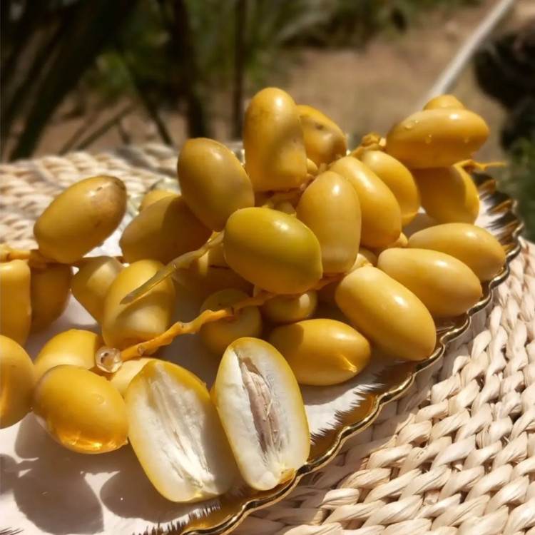 پک خارک تازه وشیرین جنوبی ارسال سریع دوروزه باچاپار)یک کیلویی)
