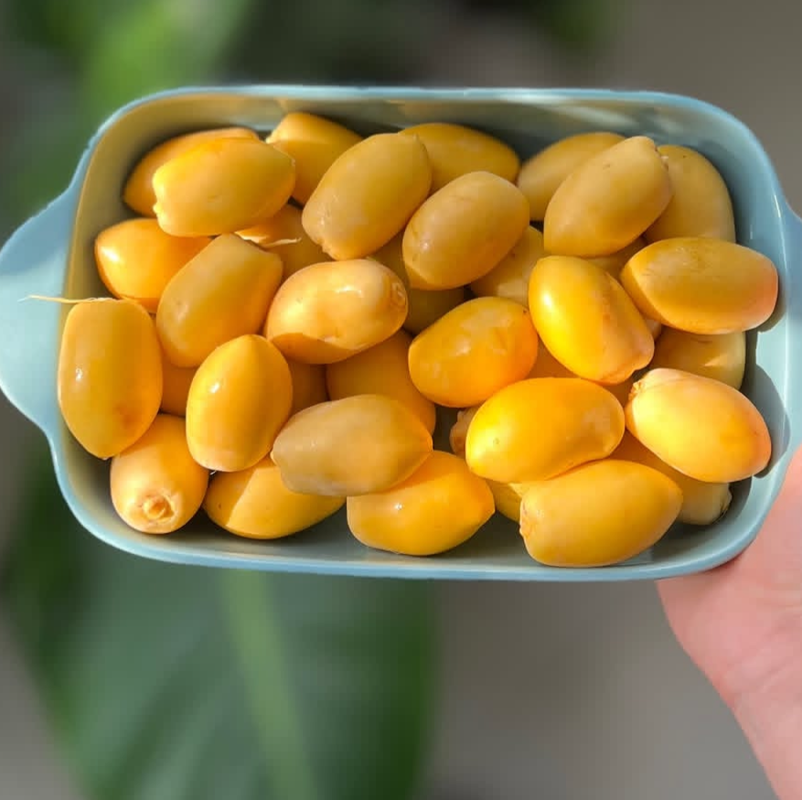 پک خارک تازه وشیرین جنوبی ارسال سریع دوروزه باچاپار)یک کیلویی)