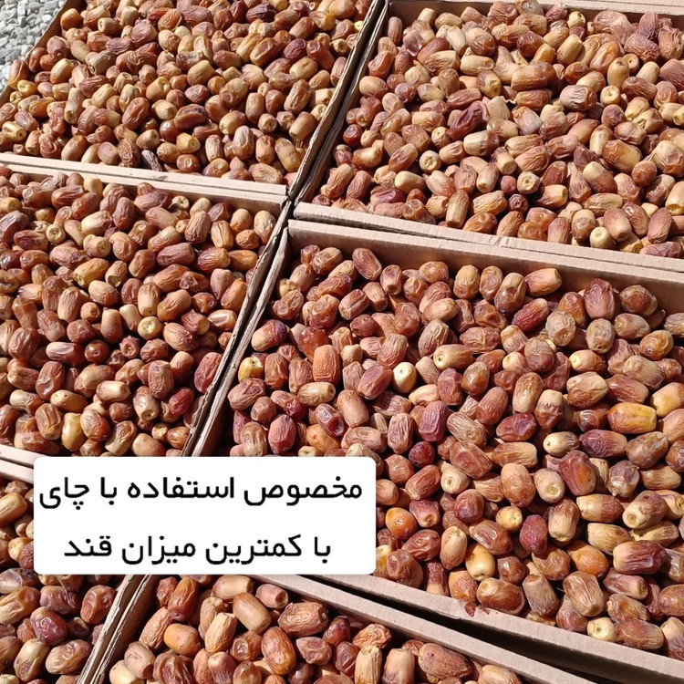 خرما زاهدی درشت و درجه یک کم قند