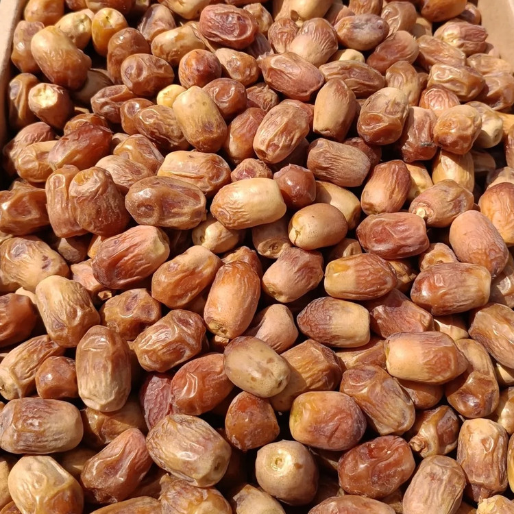 خرما زاهدی درشت و درجه یک کم قند