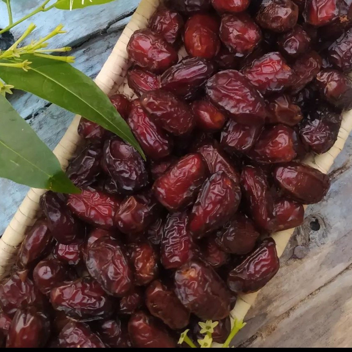 خرما بریمی آدامسی کمیاب ومحبوب مخصوص دیابتیها (یک کیلو)