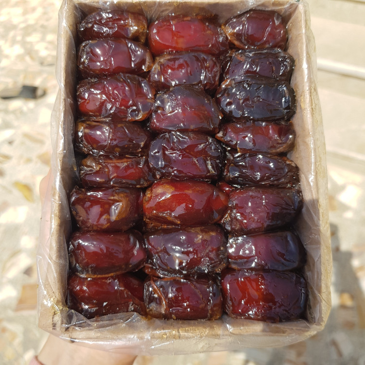 خرما کبکاب درشت شسته شده پک ده کیلویی