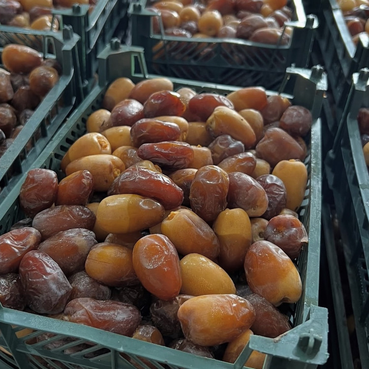 رطب عسلی (یک کیلویی) درجه یک وخوشمزه ارسال سریع چاپار